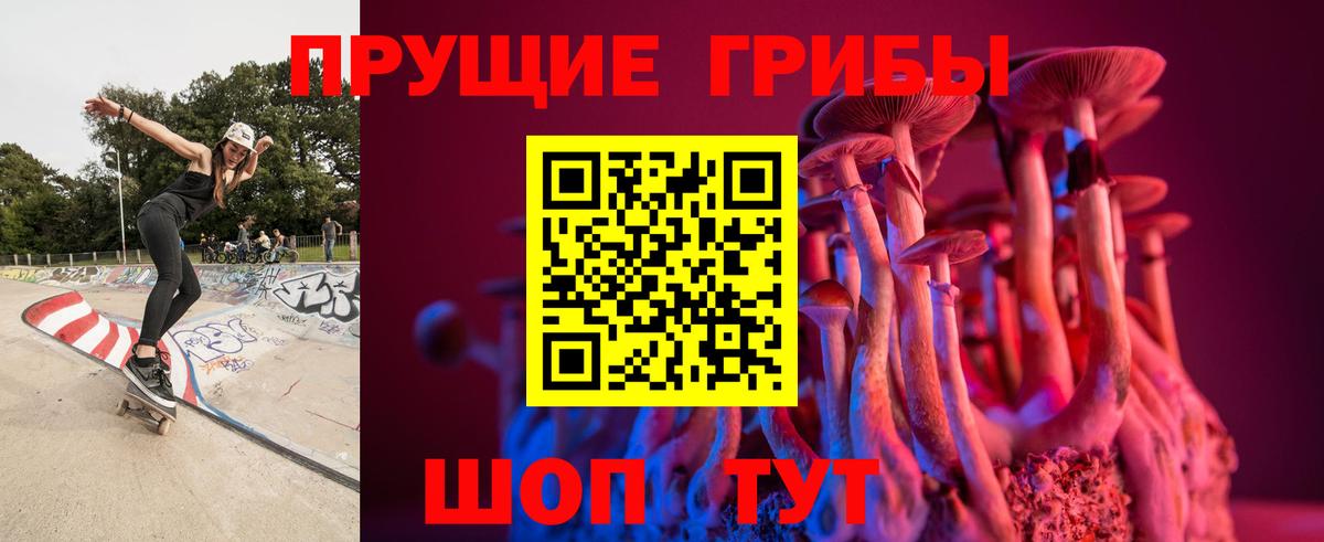 Тобольск  Галлюциногенные грибы прущие грибы  Псилоцибиновые грибы Magic Shrooms  наркошоп  Вход с VPN 